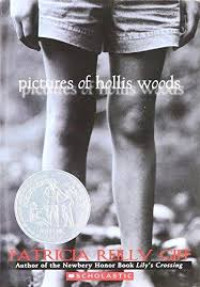 Image of Pictures of Hollis Woods