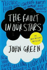 Image of The Fault In Our Stars